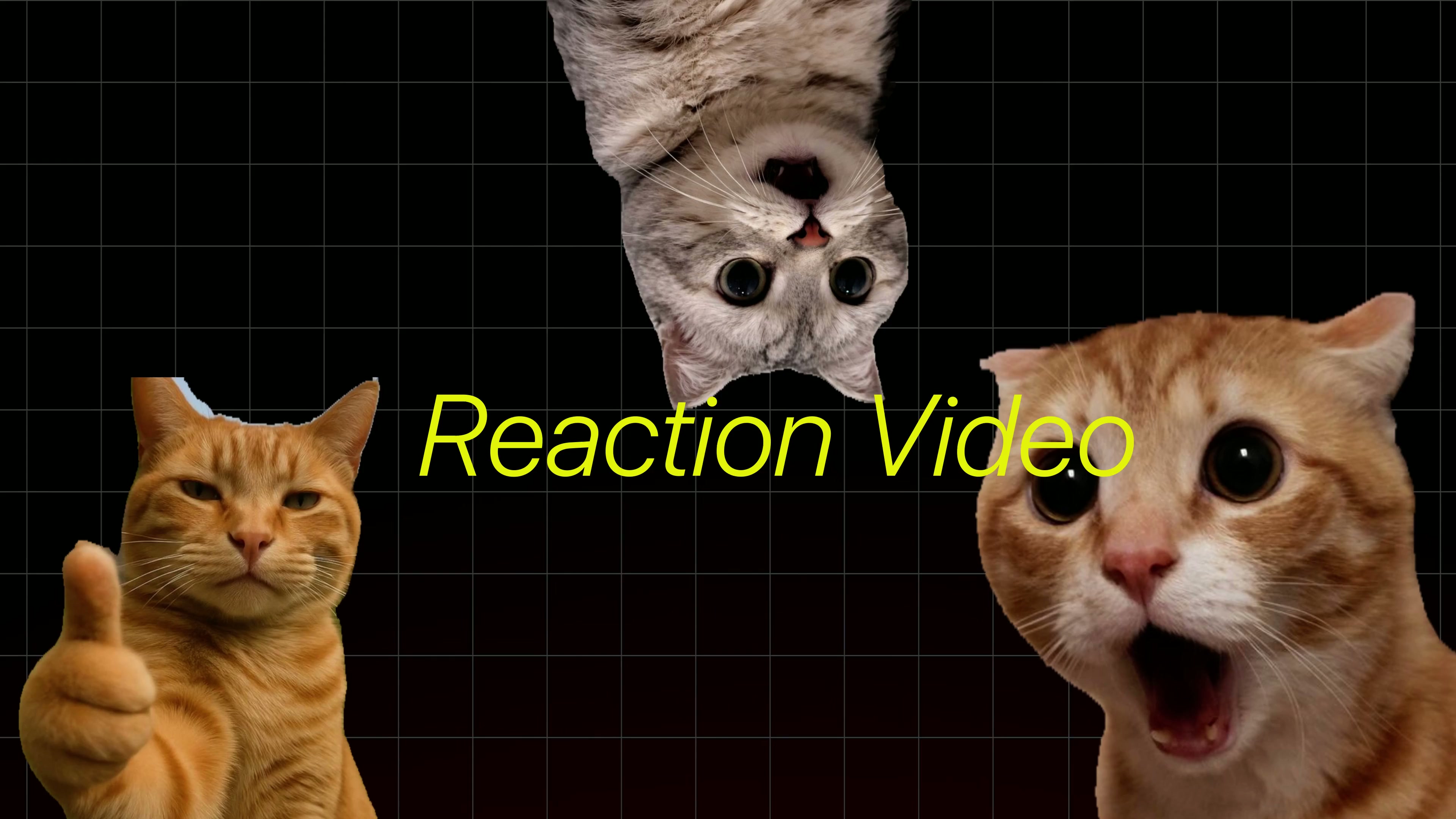 Reaction video format