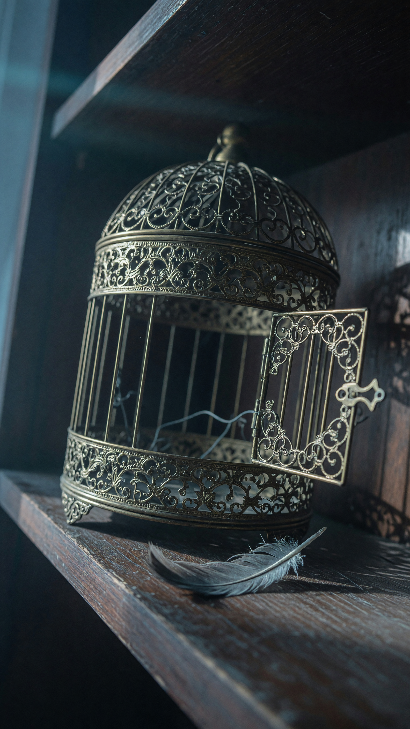 Sometimes the Cage Has No Lock