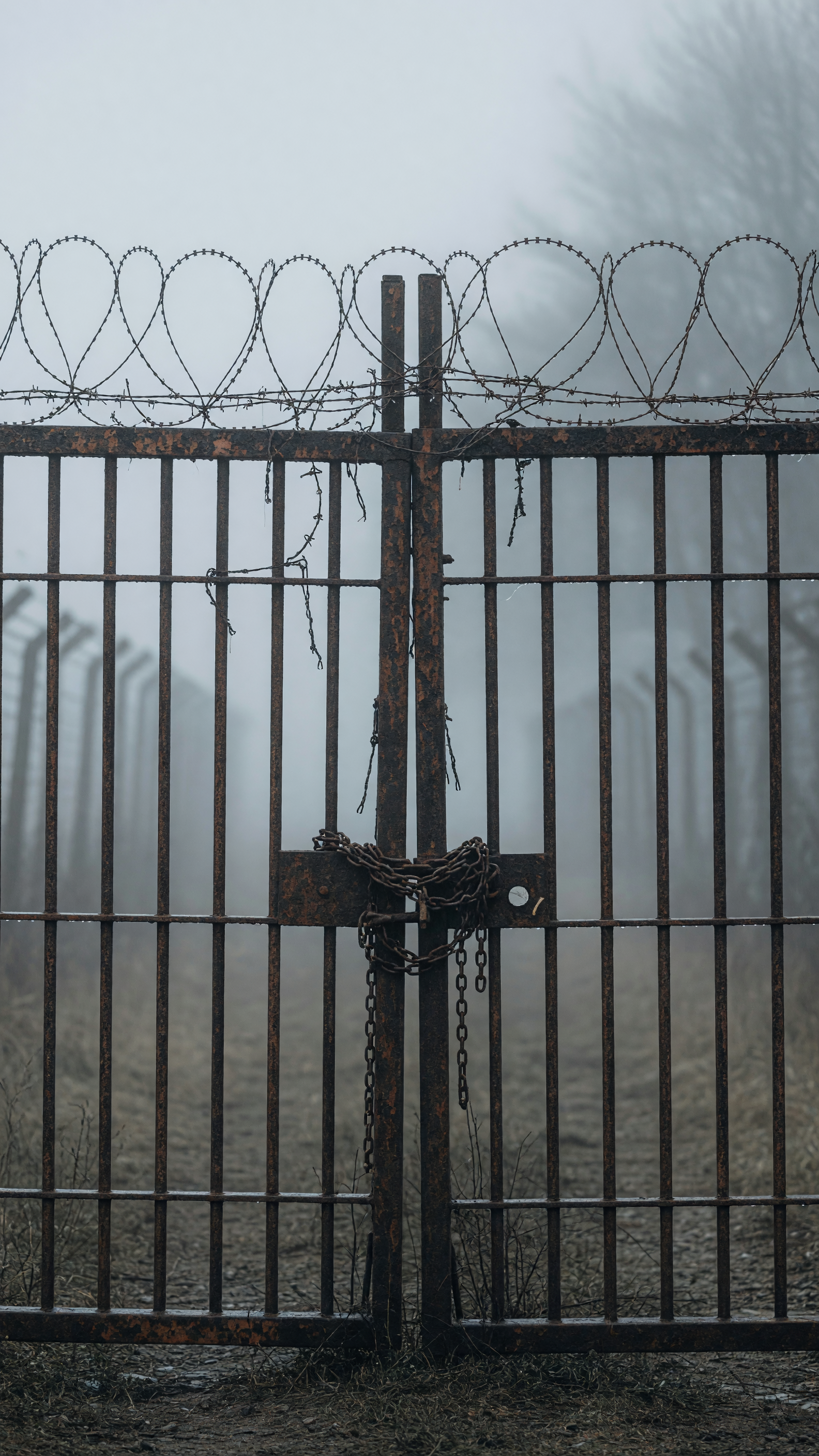 The Holocaust's Darkest Secrets They Don't Teach You